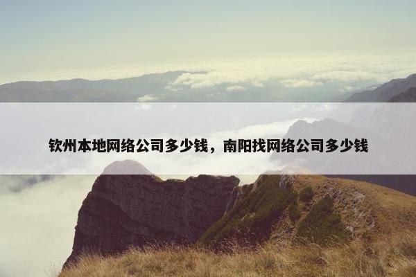 钦州本地网络公司多少钱，南阳找网络公司多少钱