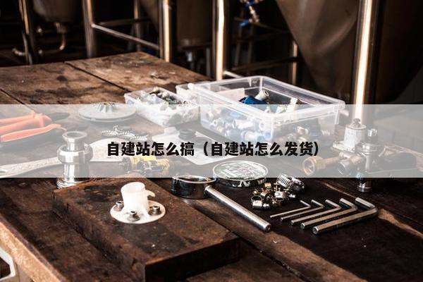 自建站怎么搞（自建站怎么发货）