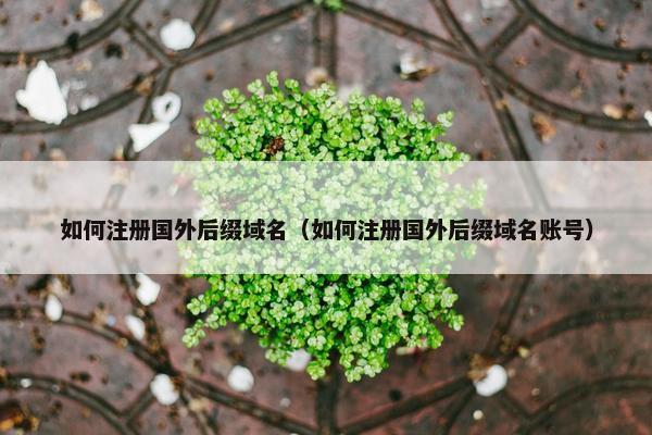 如何注册国外后缀域名（如何注册国外后缀域名账号）