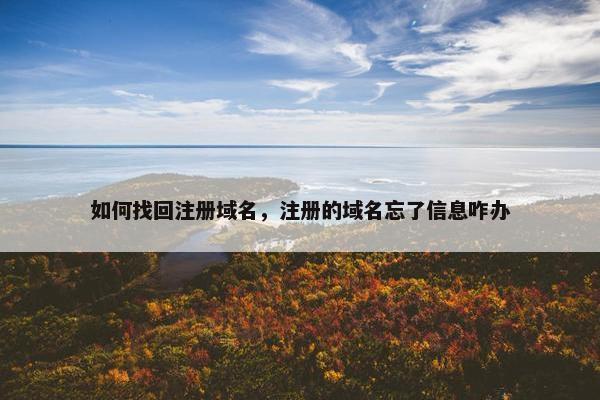 如何找回注册域名，注册的域名忘了信息咋办