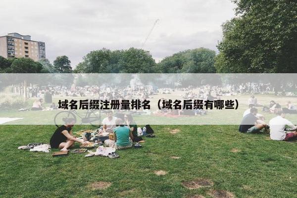 域名后缀注册量排名（域名后缀有哪些）