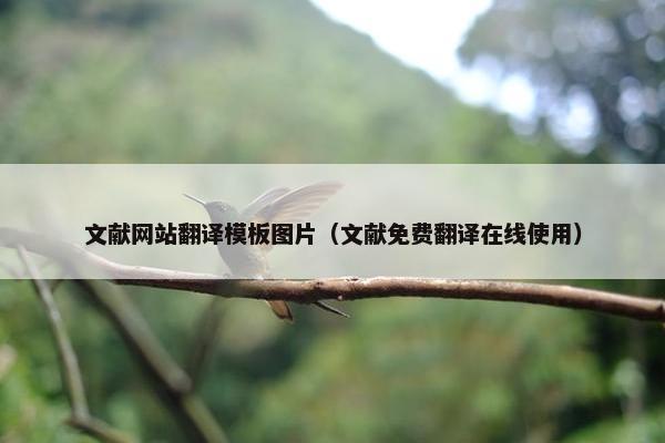 文献网站翻译模板图片（文献免费翻译在线使用）