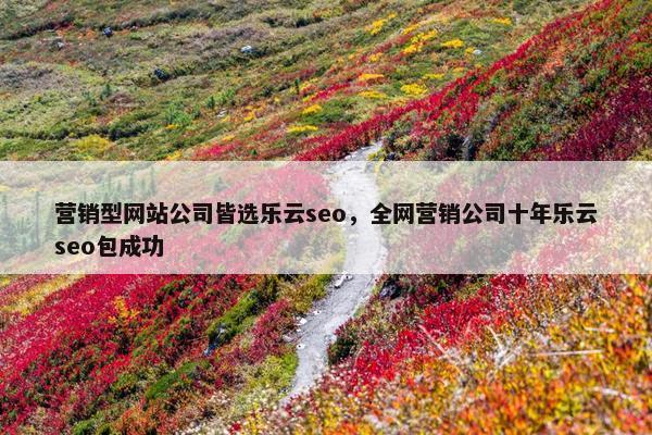 营销型网站公司皆选乐云seo，全网营销公司十年乐云seo包成功