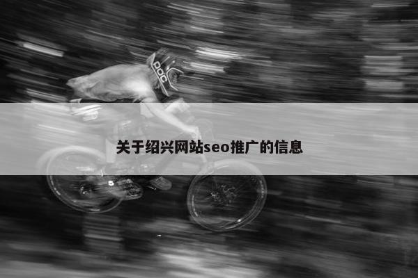 关于绍兴网站seo推广的信息