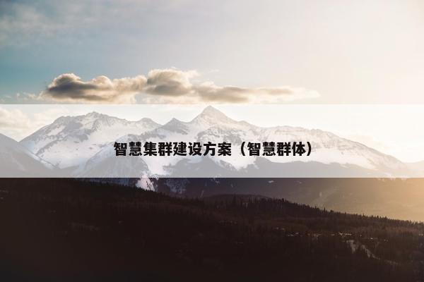 智慧集群建设方案（智慧群体）