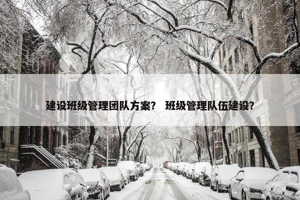建设班级管理团队方案？ 班级管理队伍建设？