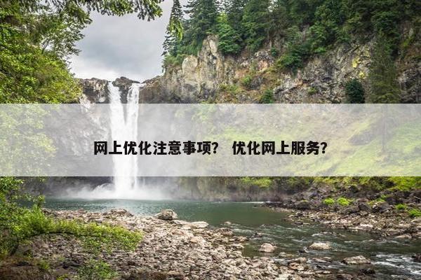 网上优化注意事项？ 优化网上服务？