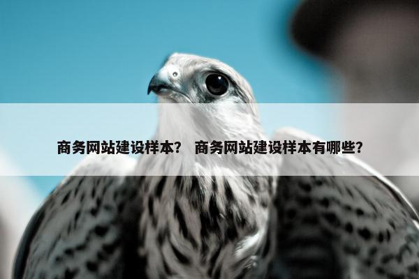 商务网站建设样本？ 商务网站建设样本有哪些？