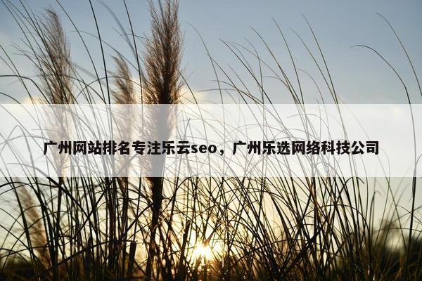 广州网站排名专注乐云seo，广州乐选网络科技公司