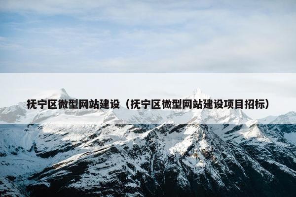 抚宁区微型网站建设（抚宁区微型网站建设项目招标）