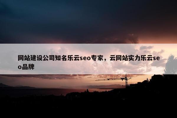 网站建设公司知名乐云seo专家，云网站实力乐云seo品牌