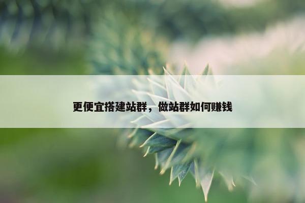 更便宜搭建站群，做站群如何赚钱