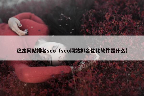稳定网站排名seo（seo网站排名优化软件是什么）