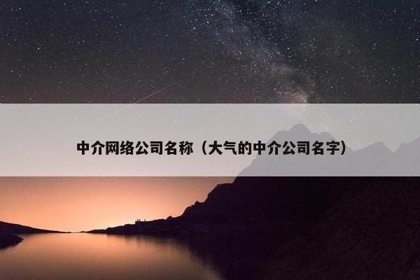 中介网络公司名称（大气的中介公司名字）