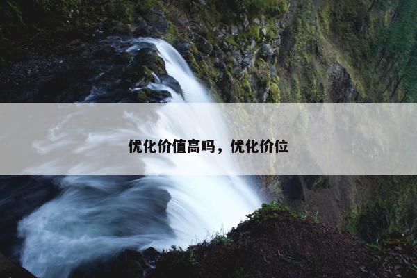 优化价值高吗，优化价位