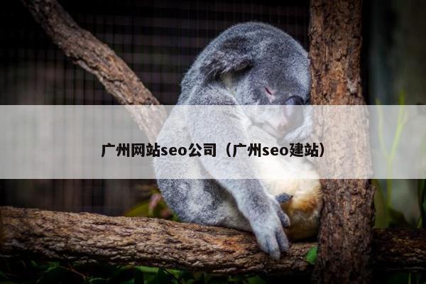 广州网站seo公司（广州seo建站）