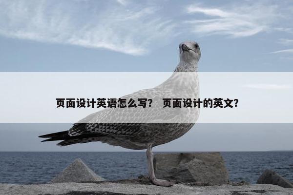 页面设计英语怎么写？ 页面设计的英文？