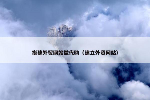 搭建外贸网站做代购（建立外贸网站）