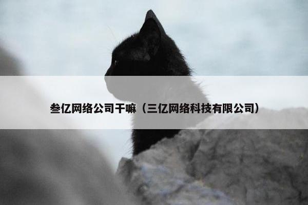 叁亿网络公司干嘛（三亿网络科技有限公司）