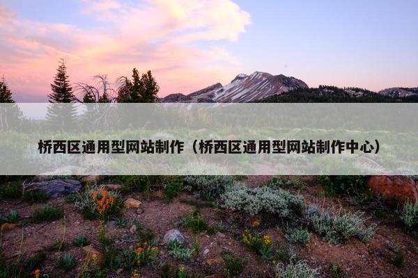 桥西区通用型网站制作（桥西区通用型网站制作中心）