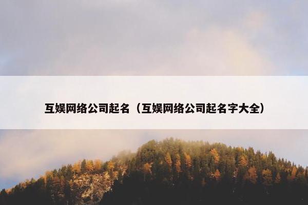 互娱网络公司起名（互娱网络公司起名字大全）