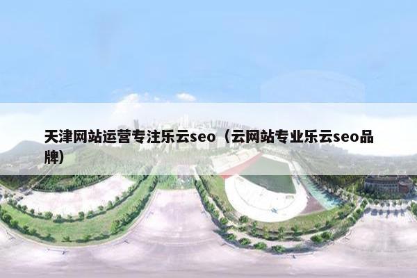 天津网站运营专注乐云seo（云网站专业乐云seo品牌）