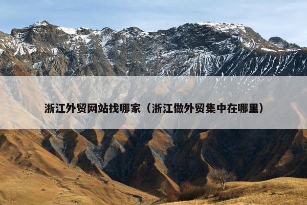 浙江外贸网站找哪家（浙江做外贸集中在哪里）