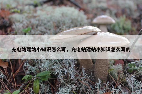 充电站建站小知识怎么写，充电站建站小知识怎么写的