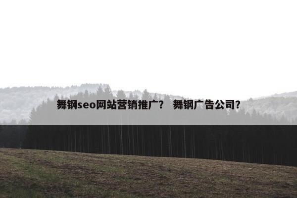 舞钢seo网站营销推广？ 舞钢广告公司？