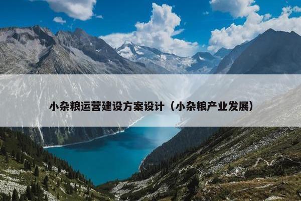 小杂粮运营建设方案设计（小杂粮产业发展）