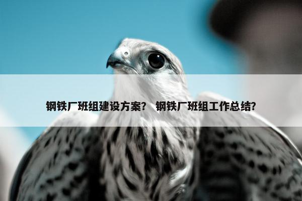 钢铁厂班组建设方案？ 钢铁厂班组工作总结？