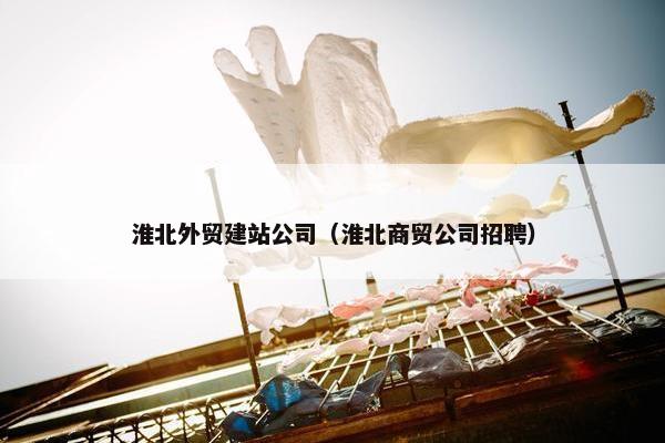 淮北外贸建站公司（淮北商贸公司招聘）