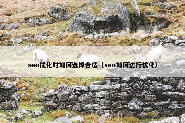 seo优化时如何选择合适（seo如何进行优化）