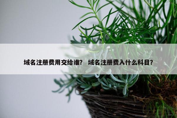 域名注册费用交给谁？ 域名注册费入什么科目？