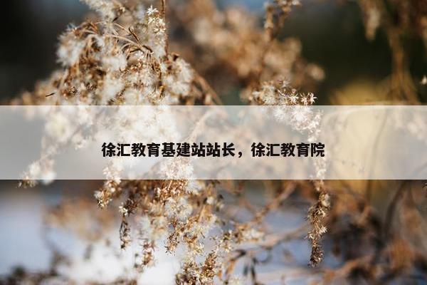 徐汇教育基建站站长，徐汇教育院