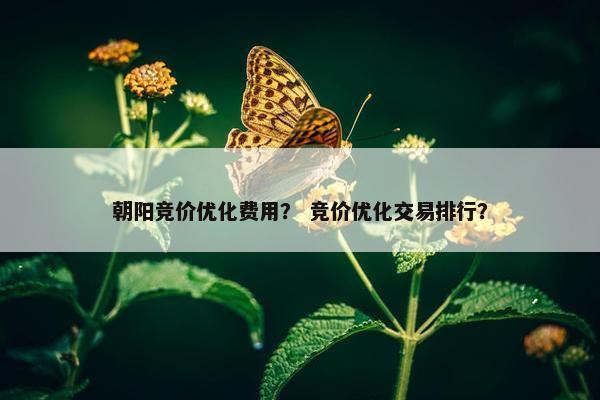 朝阳竞价优化费用？ 竞价优化交易排行？