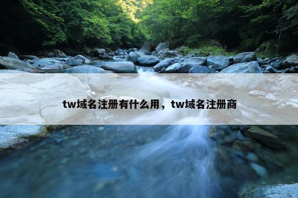 tw域名注册有什么用，tw域名注册商
