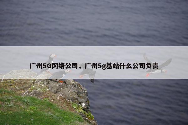 广州5G网络公司，广州5g基站什么公司负责