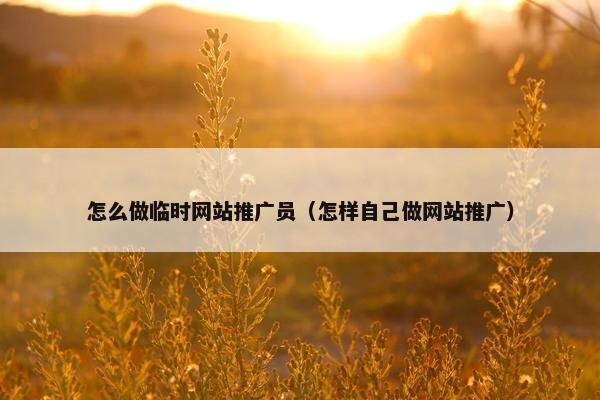 怎么做临时网站推广员（怎样自己做网站推广）