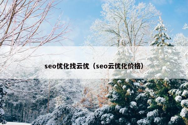 seo优化找云优（seo云优化价格）