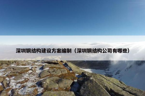 深圳钢结构建设方案编制（深圳钢结构公司有哪些）