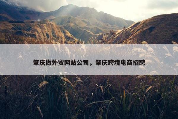 肇庆做外贸网站公司，肇庆跨境电商招聘
