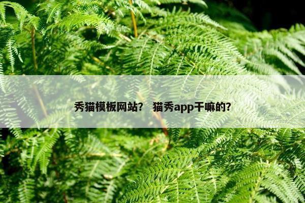 秀猫模板网站？ 猫秀app干嘛的？