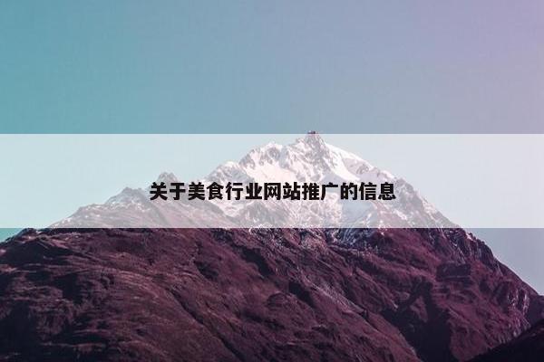 关于美食行业网站推广的信息