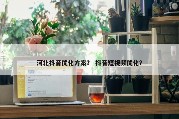 河北抖音优化方案？ 抖音短视频优化？