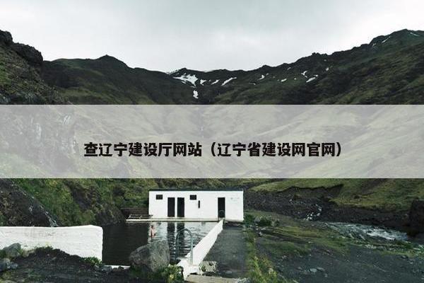 查辽宁建设厅网站（辽宁省建设网官网）
