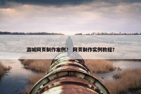 潞城网页制作案例？ 网页制作实例教程？