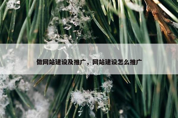 做网站建设及推广，网站建设怎么推广