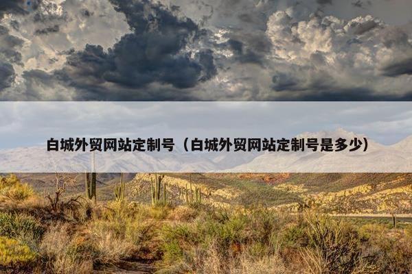 白城外贸网站定制号（白城外贸网站定制号是多少）