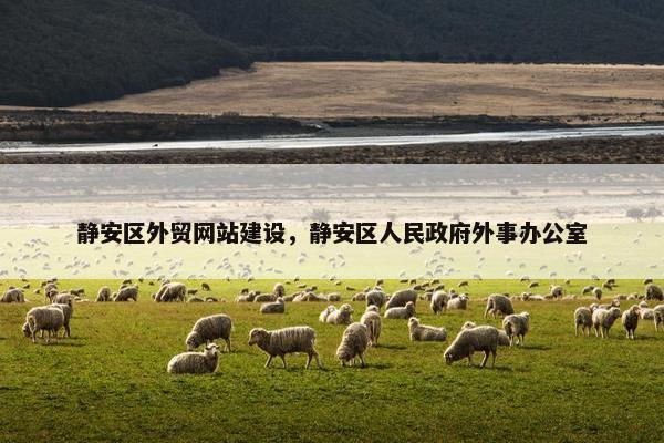 静安区外贸网站建设，静安区人民政府外事办公室